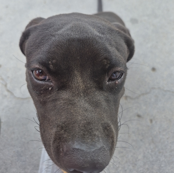 ♡🐶 - Picture 7 of 7